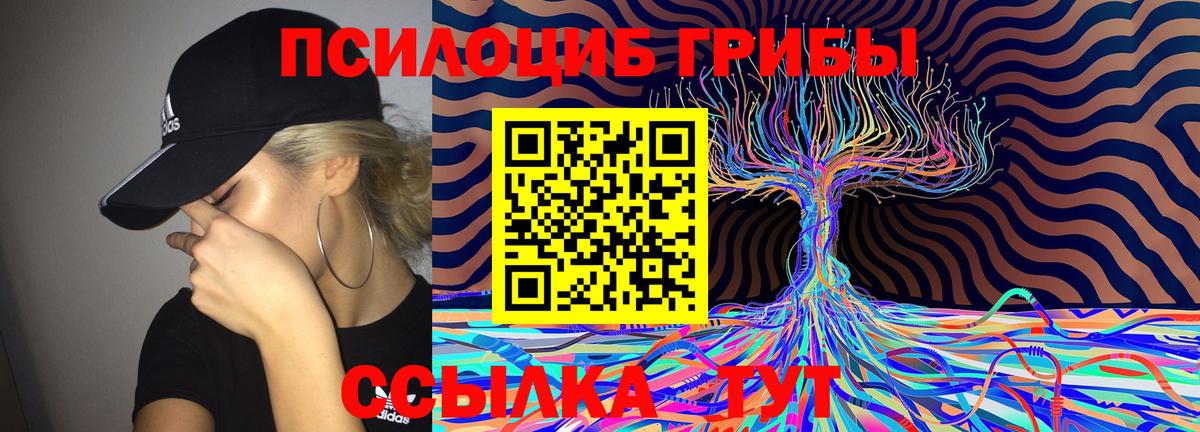 Псилоцибиновые грибы прущие грибы  Екатеринбург 