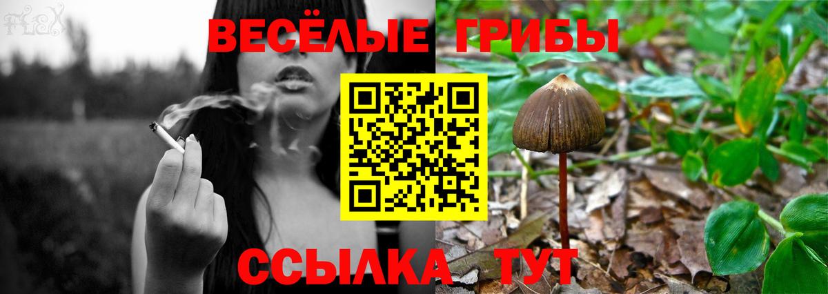 Галлюциногенные грибы мухоморы  Вход с VPN  как найти наркотики  Галлюциногенные грибы Psilocybine cubensis  Екатеринбург 