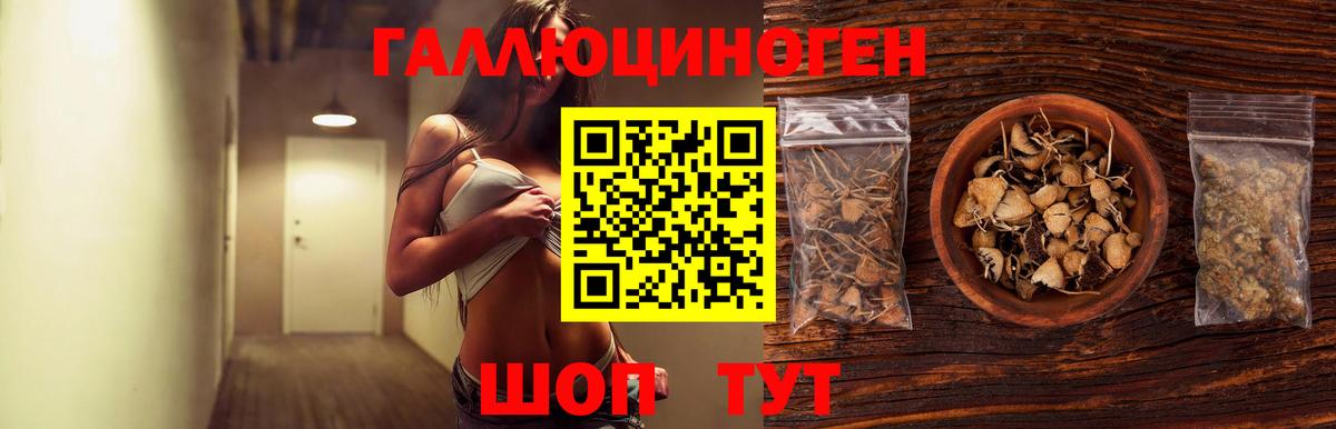 Галлюциногенные грибы Psilocybine cubensis Екатеринбург