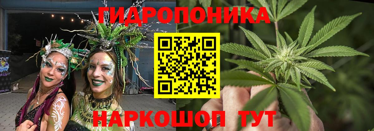 Каннабис планчик Екатеринбург